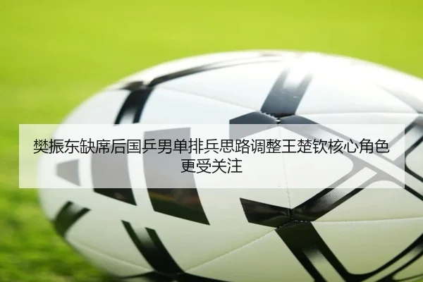 樊振东缺席后国乒男单排兵思路调整王楚钦核心角色更受关注